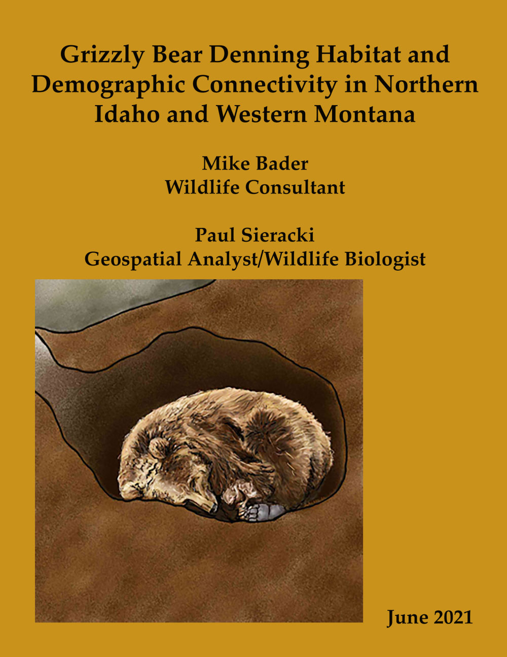 grizzly bear denning habitat and demographic connectivity in northern idaho and western montana june 2021